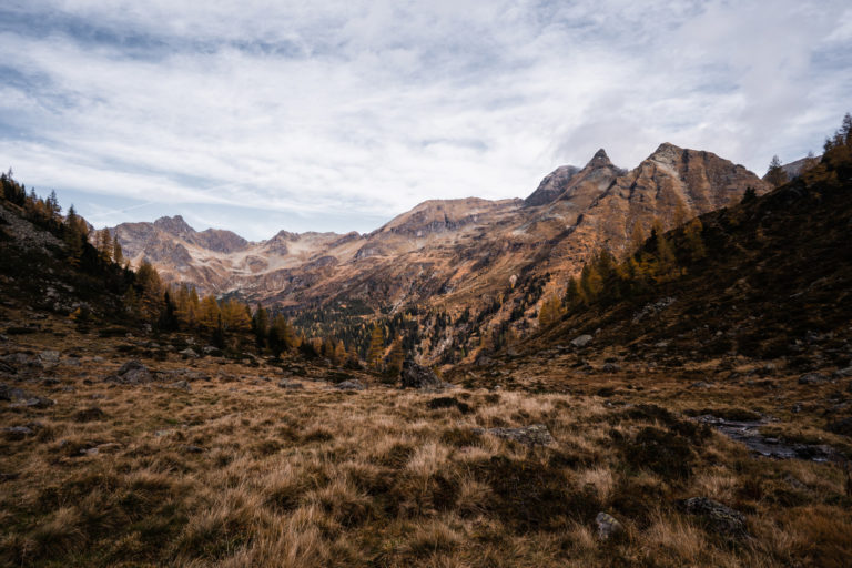 02 | The  Autumn. GAD-Award.