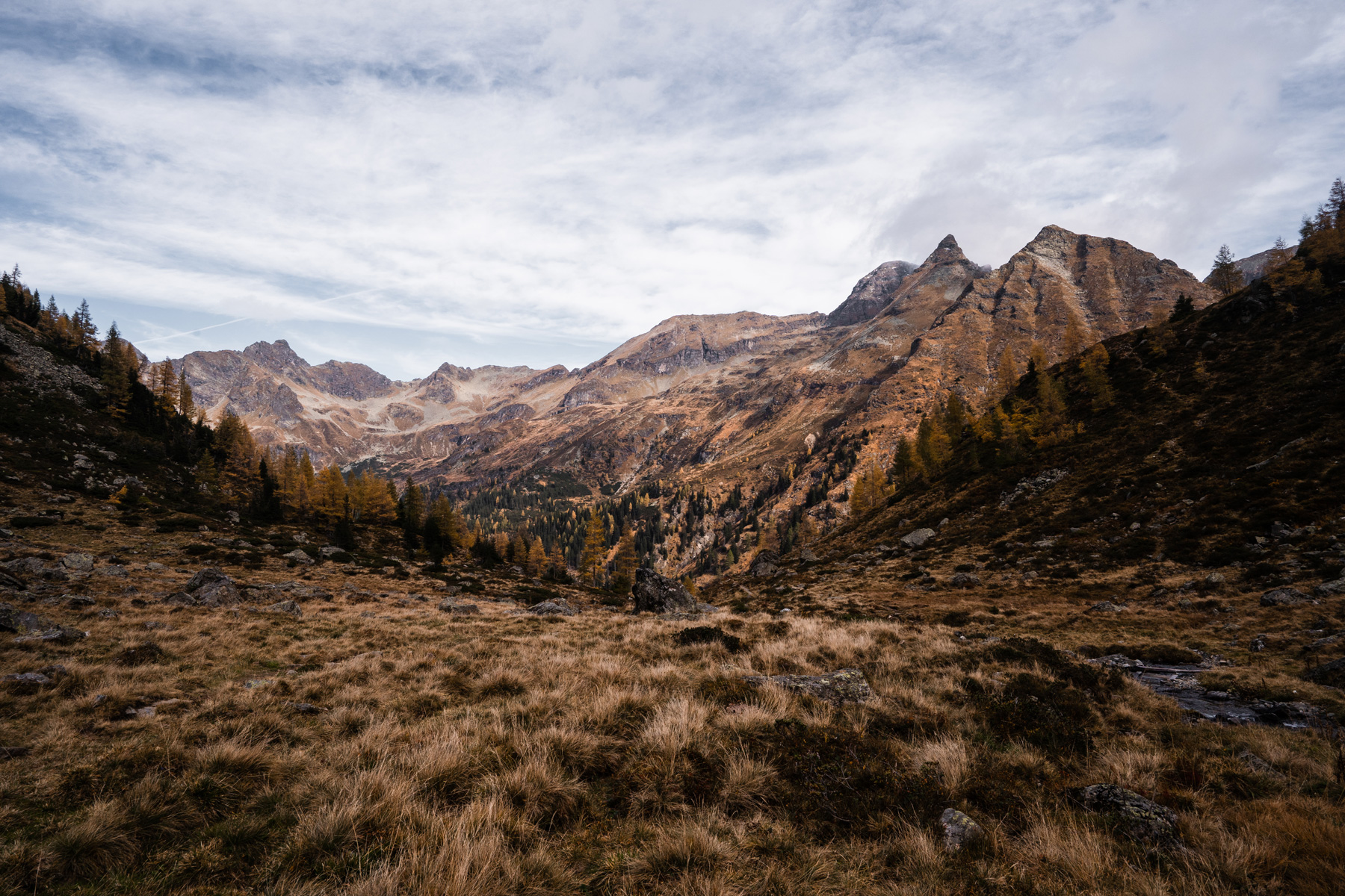 02 | The  Autumn. GAD-Award.